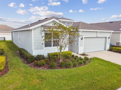 A home in RIVERVIEW