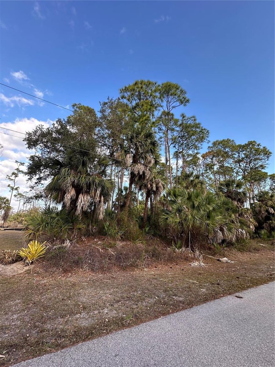 Conveniently located vacant lot in North Port ready for your new home or investment. Situated close to schools, shopping and services, this parcel offers easy access to everyday conveniences and future area growth. Newer construction in the immediate vicinity demonstrates strong demand for this locale. No HOA or CDD fees provide added flexibility and freedom. Outside of the designated flood zone with quick access to abundant outdoor recreation, including nature trails, parks, and freshwater waterways. Nearby attractions include CoolToday Park — spring training home of the Atlanta Braves — scenic Myakkahatchee Creek Environmental Park, the unique Warm Mineral Springs, and the extensive Myakka State Forest. With easy access to local shopping, dining and within driving distance of Gulf Coast beaches, this property is a great opportunity to build now or hold for future appreciation. Buyer to verify utilities, zoning, and building requirements.