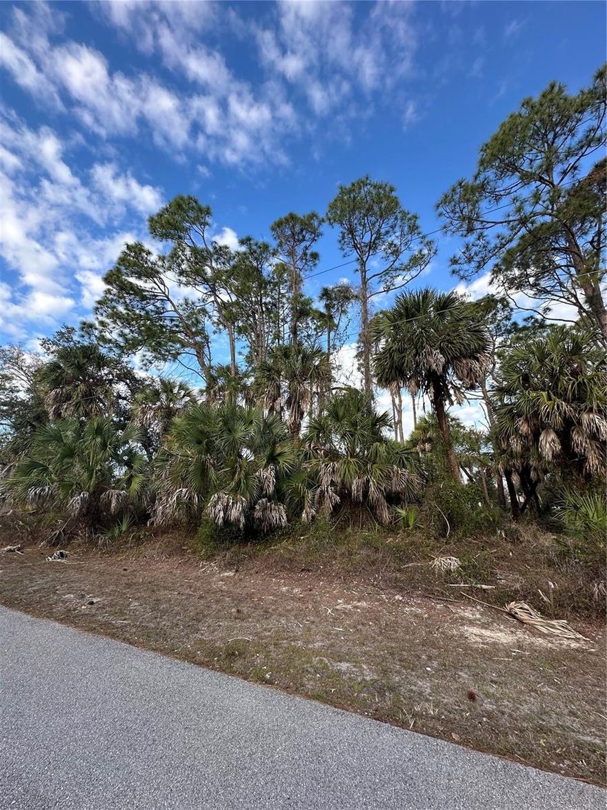 Conveniently located vacant lot in North Port ready for your new home or investment. Situated close to schools, shopping and services, this parcel offers easy access to everyday conveniences and future area growth. Newer construction in the immediate vicinity demonstrates strong demand for this locale. No HOA or CDD fees provide added flexibility and freedom. Outside of the designated flood zone with quick access to abundant outdoor recreation, including nature trails, parks, and freshwater waterways. Nearby attractions include CoolToday Park — spring training home of the Atlanta Braves — scenic Myakkahatchee Creek Environmental Park, the unique Warm Mineral Springs, and the extensive Myakka State Forest. With easy access to local shopping, dining and within driving distance of Gulf Coast beaches, this property is a great opportunity to build now or hold for future appreciation. Buyer to verify utilities, zoning, and building requirements.