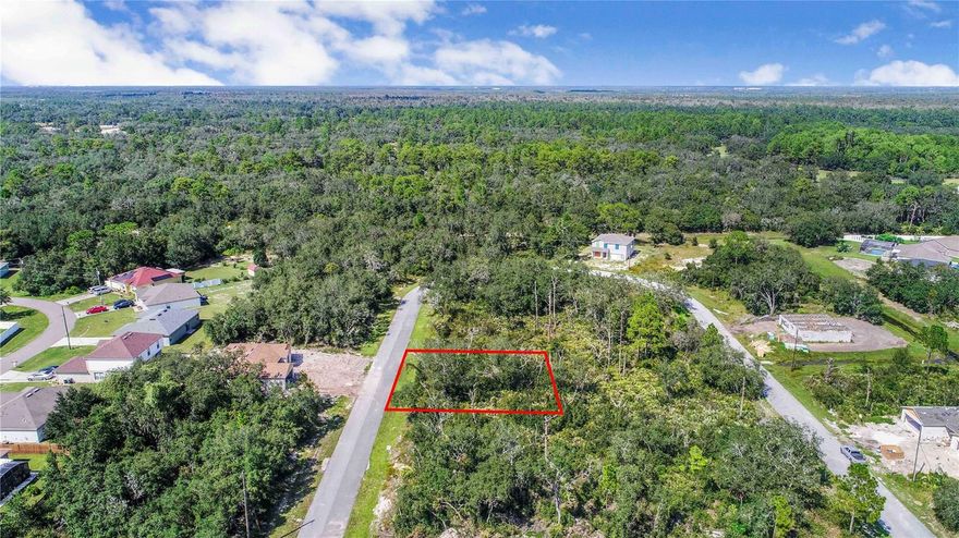 Build now or hold for future value as Poinciana continues to expand with shopping centers, medical facilities, and entertainment options just a short drive away.   Zoned for single-family residential. Paved road access & utilities nearby. Minutes from Lake Marion, Poinciana Community Park, schools, and shopping. Low HOA. Peaceful area. Don't miss this chance to invest in a booming area of Kissimmee with great potential for appreciation. Secure your slice of Florida today!