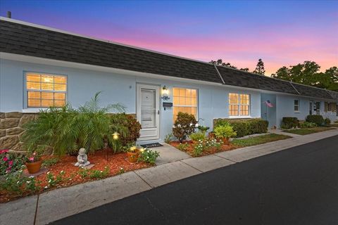 266 SKY LOCH DRIVE W DUNEDIN FL 34698