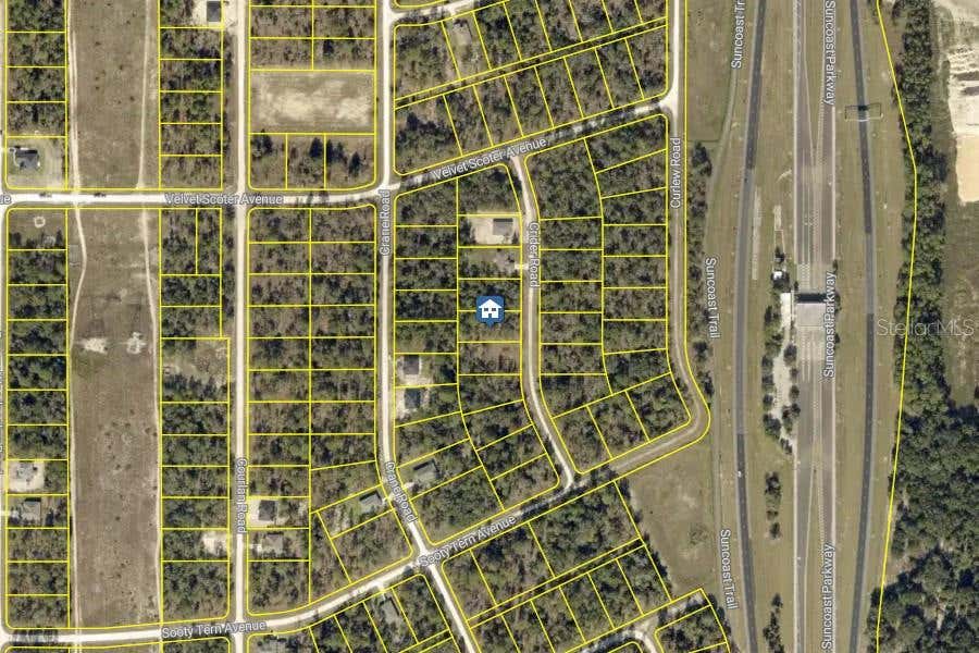 Photo of 16 Crider Road, Weeki Wachee, FL 34614 (MLS # W7888186)