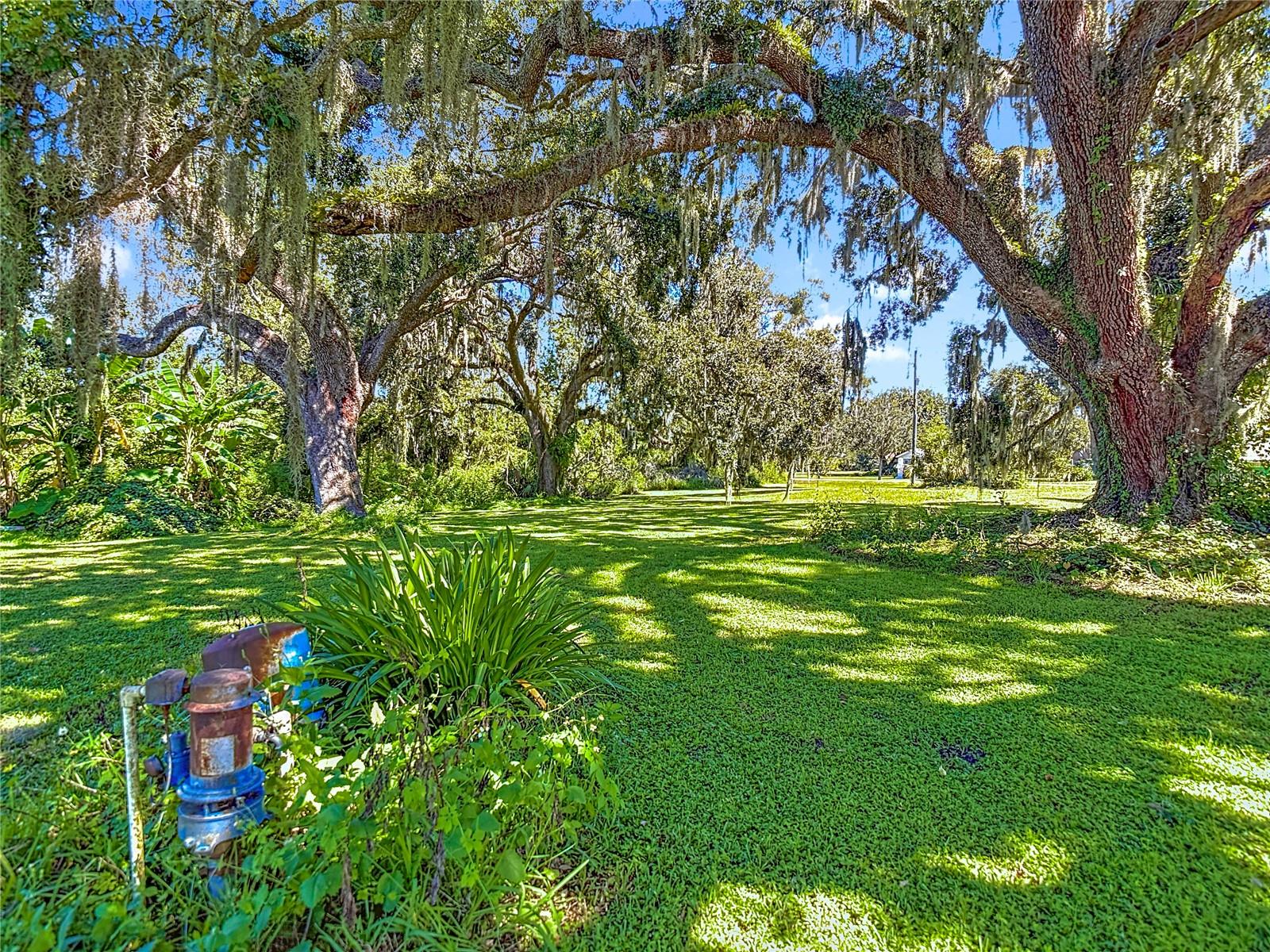 JOHN DUKES FARMS - Land