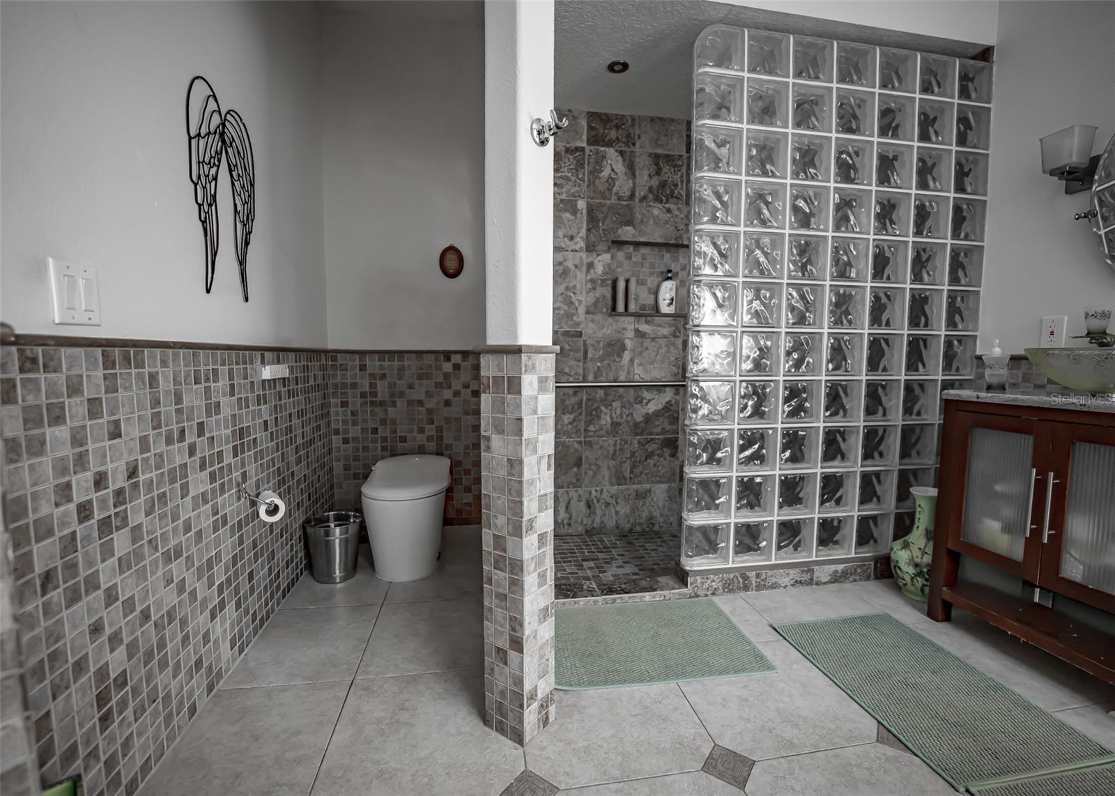 ROCK SPRINGS RIDGE - Residential