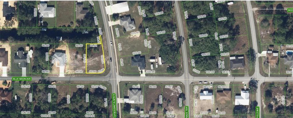 Photo of 101 Blue Moon Avenue, Lake Placid, FL 33852 (MLS # OM692951)