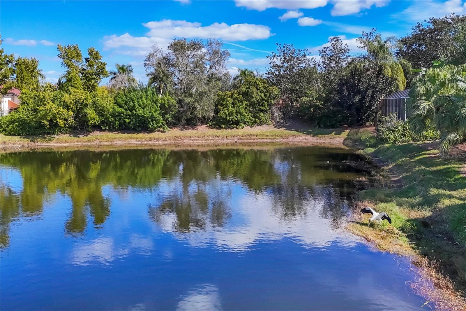 UNIVERSITY PARK - Residential