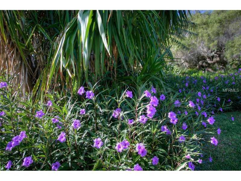 BOCA GRANDE ISLES - Residential