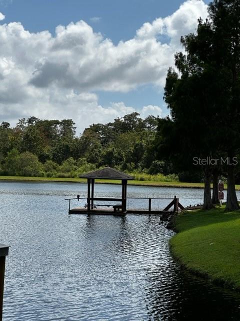 VILLAS AT SEVEN DWARFS LANE CONDO - Residential Lease