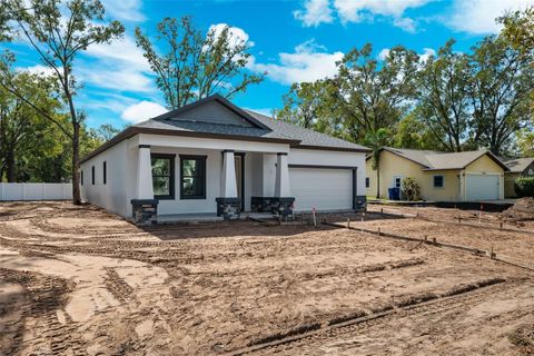 A home in LAND O LAKES