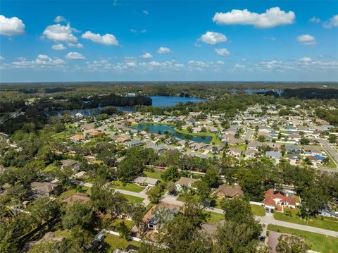 A home in LAND O LAKES