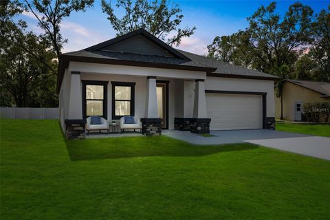 A home in LAND O LAKES