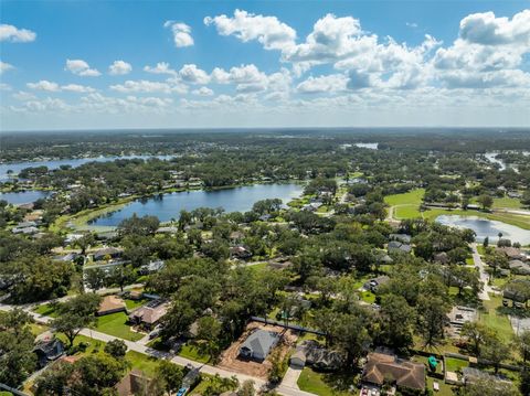 A home in LAND O LAKES