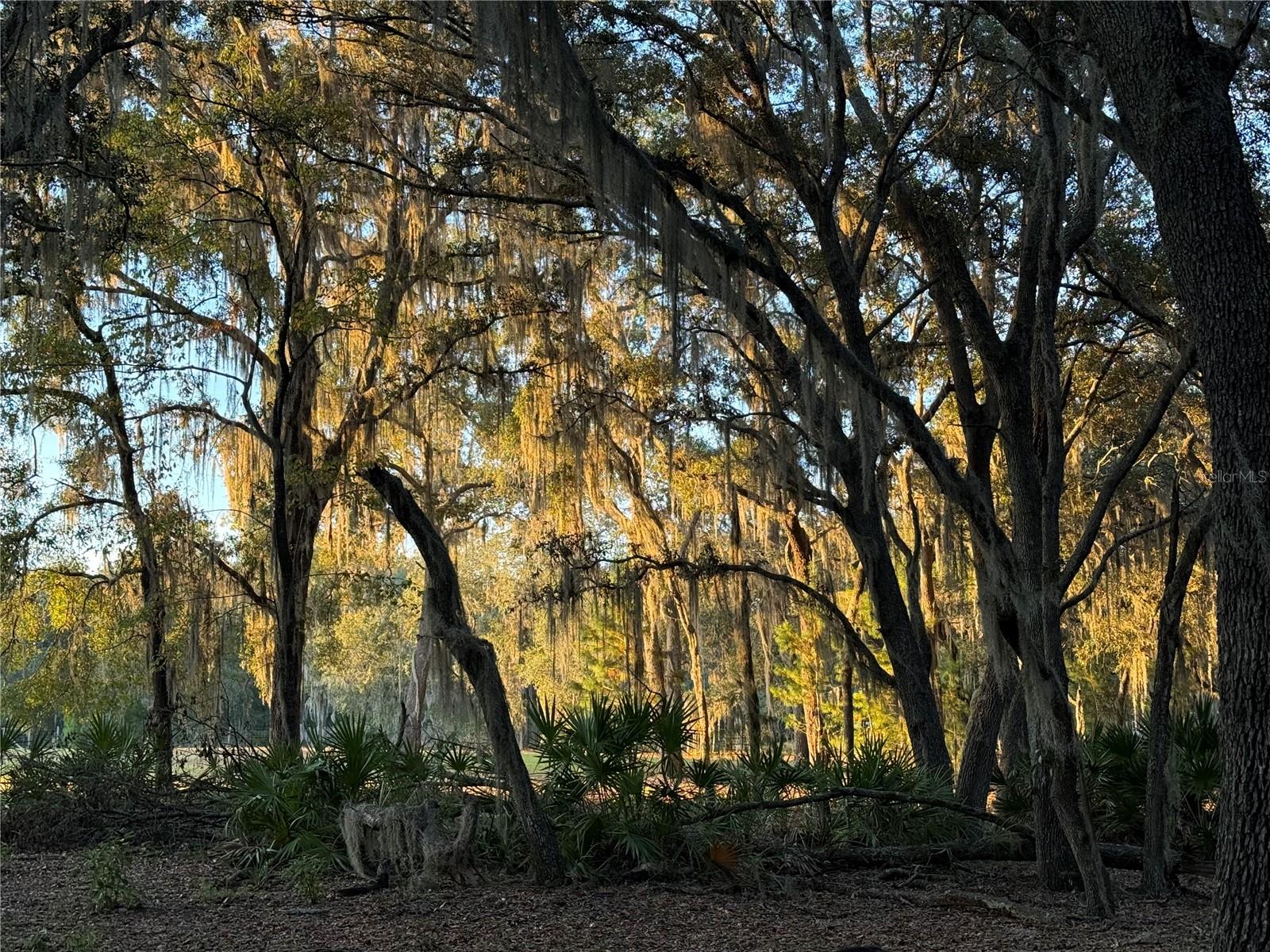 ACRG NONSUB - Residential