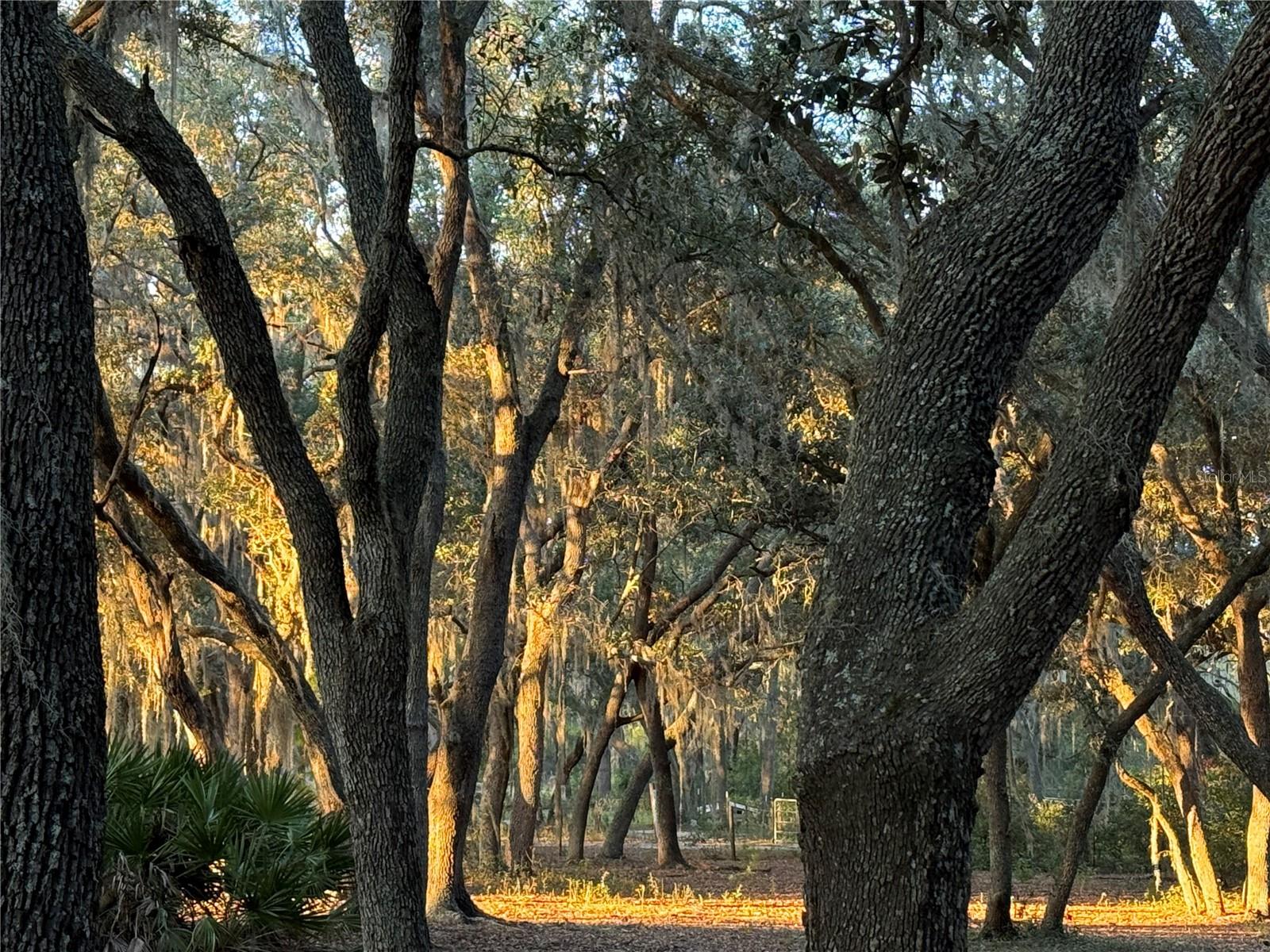 ACRG NONSUB - Residential