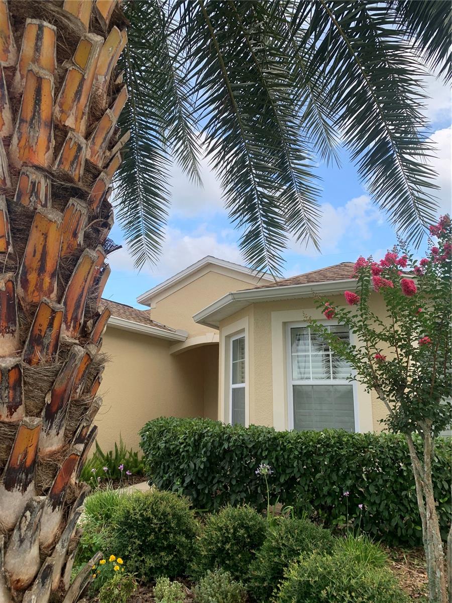 2672 STAR CORAL LANE