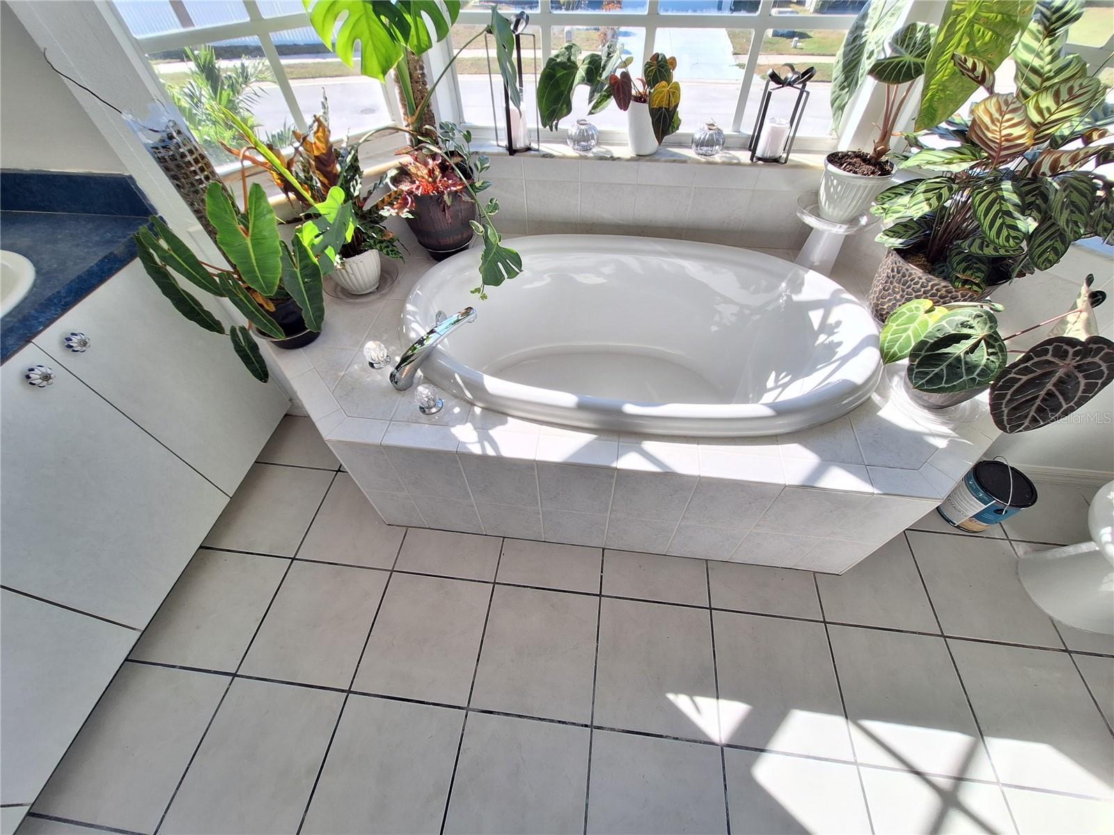 JASMINE TRAILS PH 04 - Residential