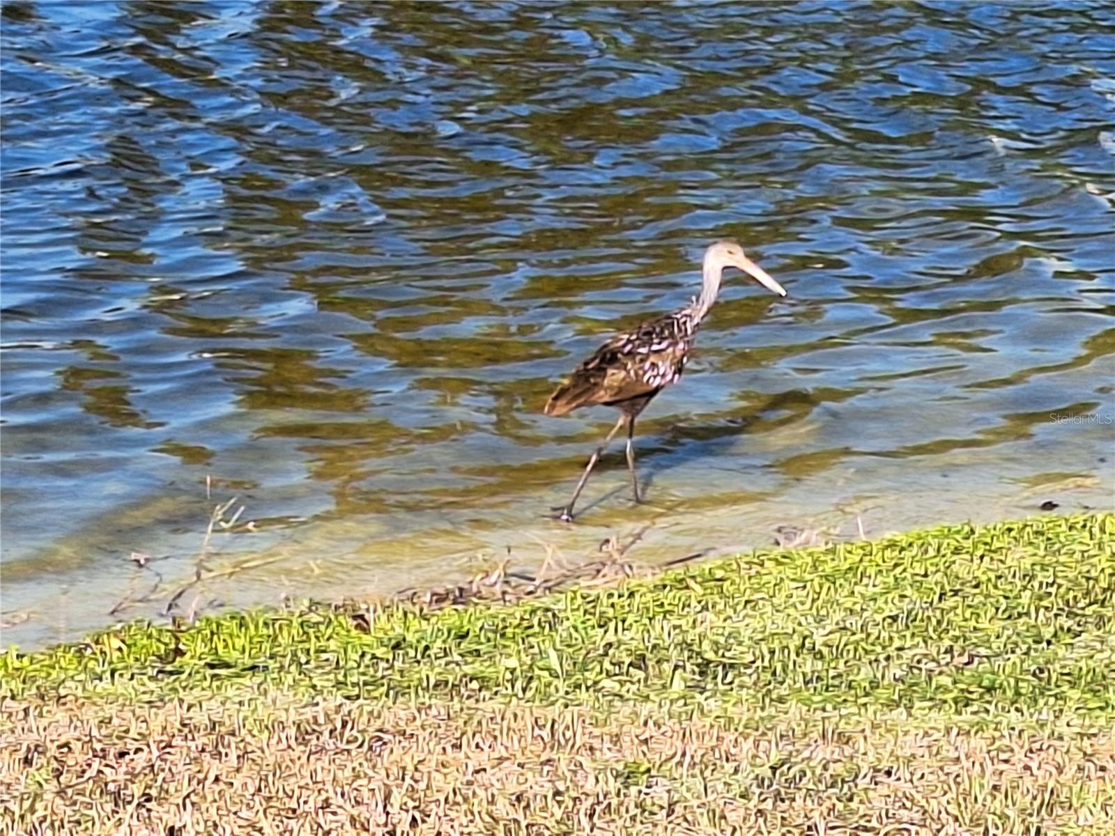 JASMINE TRAILS PH 04 - Residential