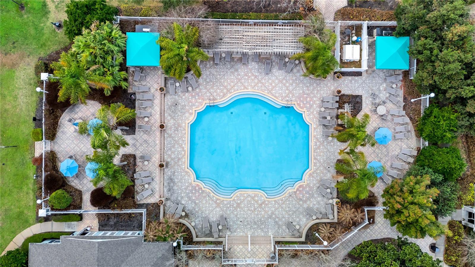 DISCOVERY PALMS - Residential