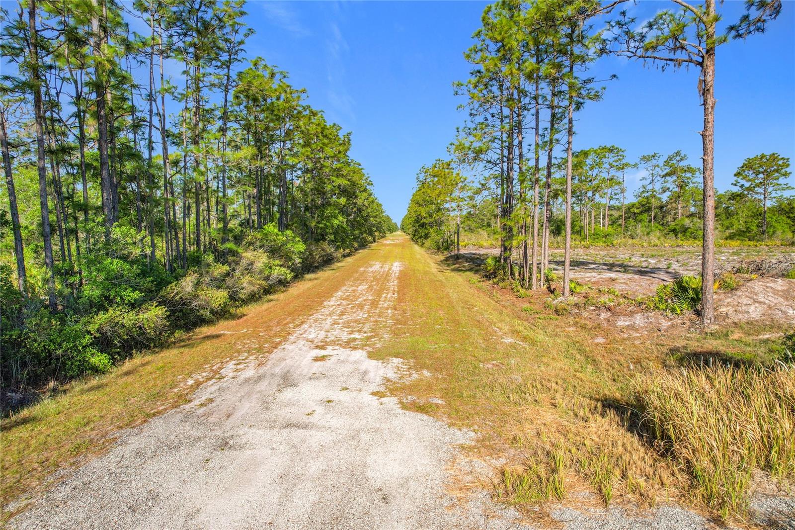 INDIAN LAKE ESTATES - Land