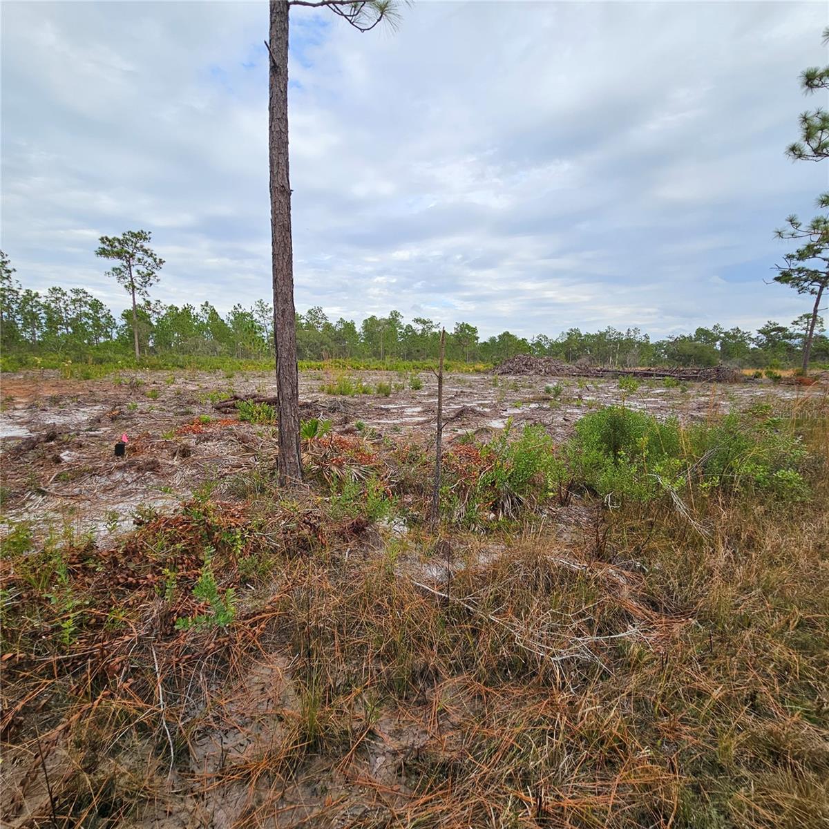 INDIAN LAKE ESTATES - Land