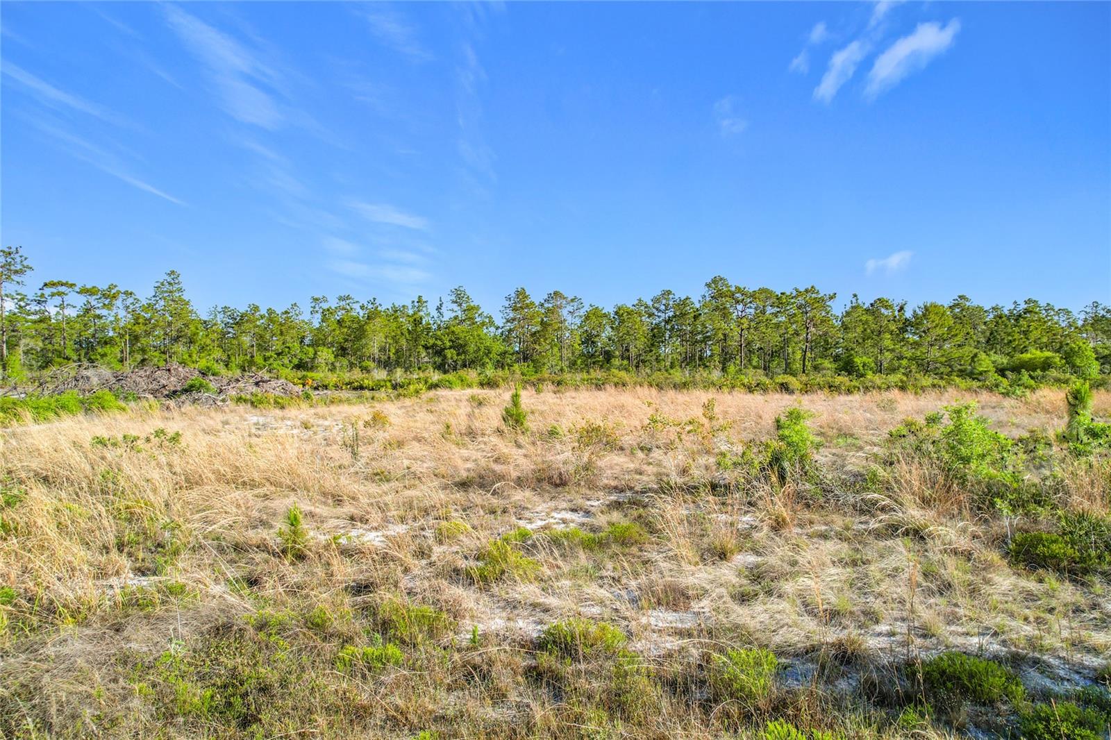 INDIAN LAKE ESTATES - Land