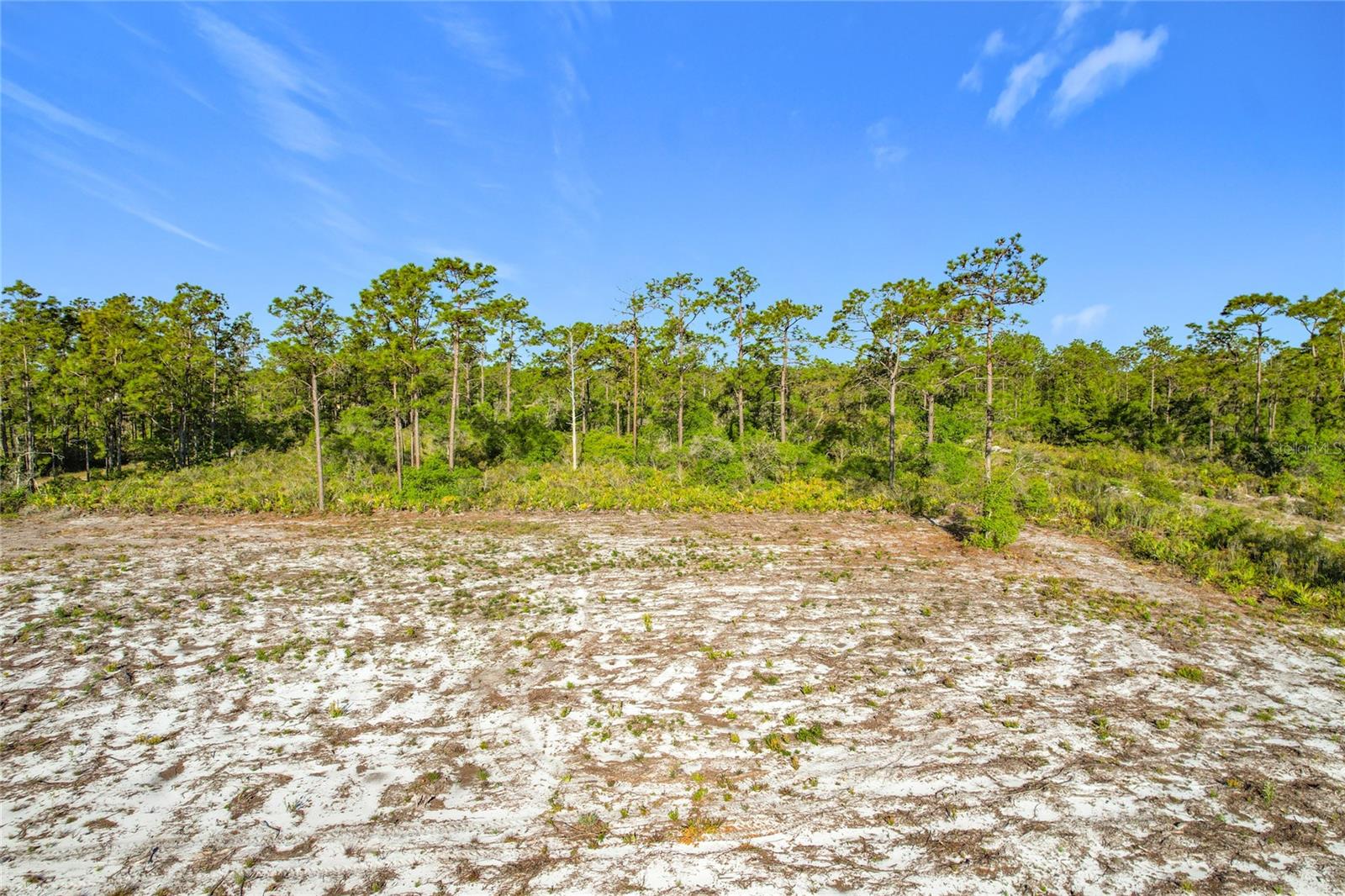 INDIAN LAKE ESTATES - Land
