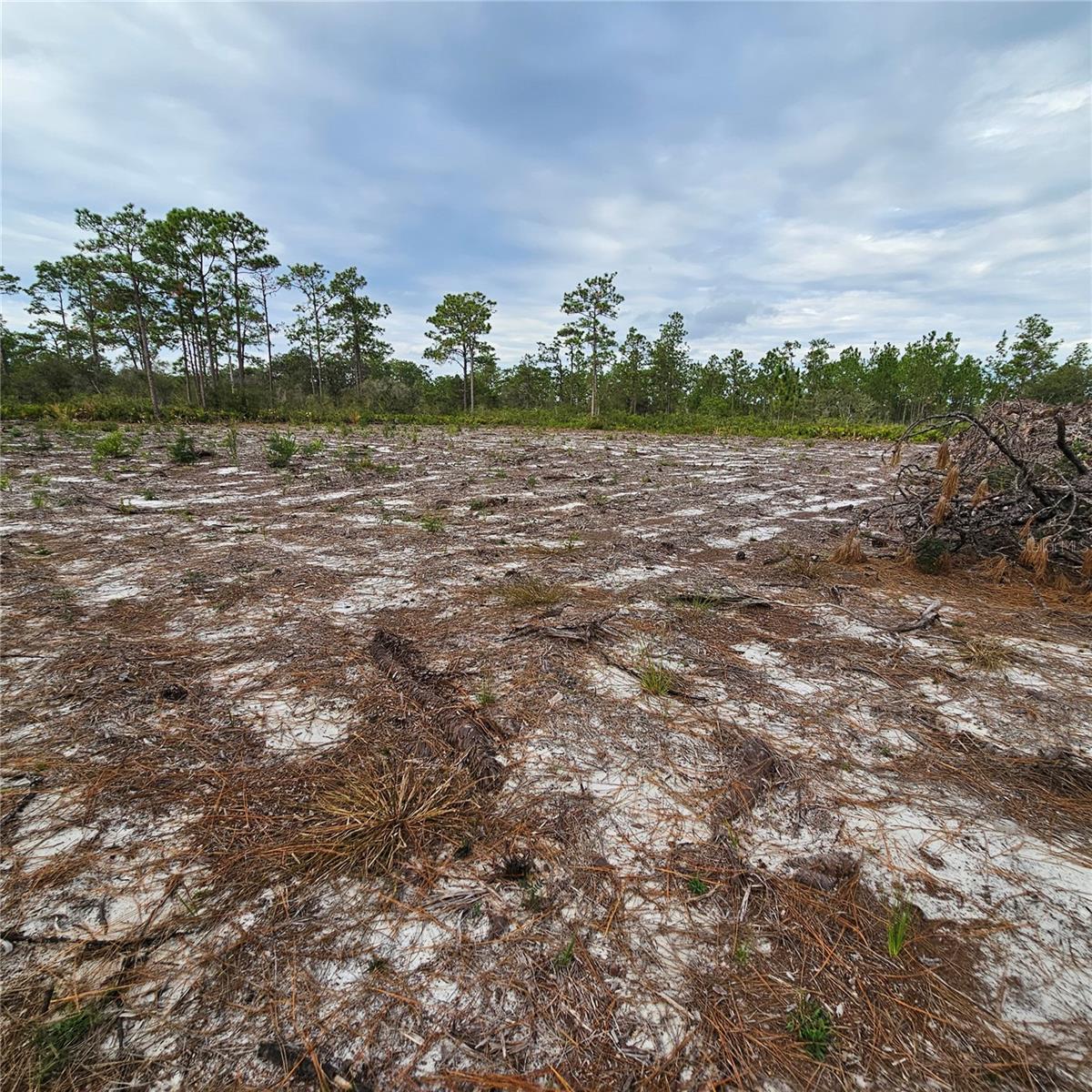 INDIAN LAKE ESTATES - Land