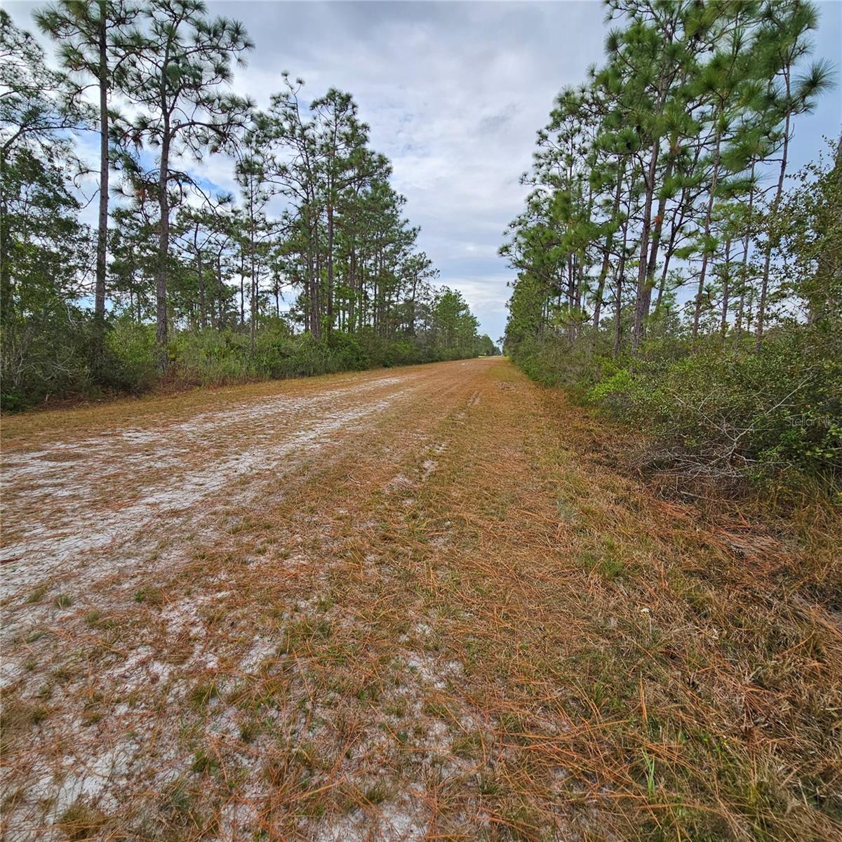 INDIAN LAKE ESTATES - Land