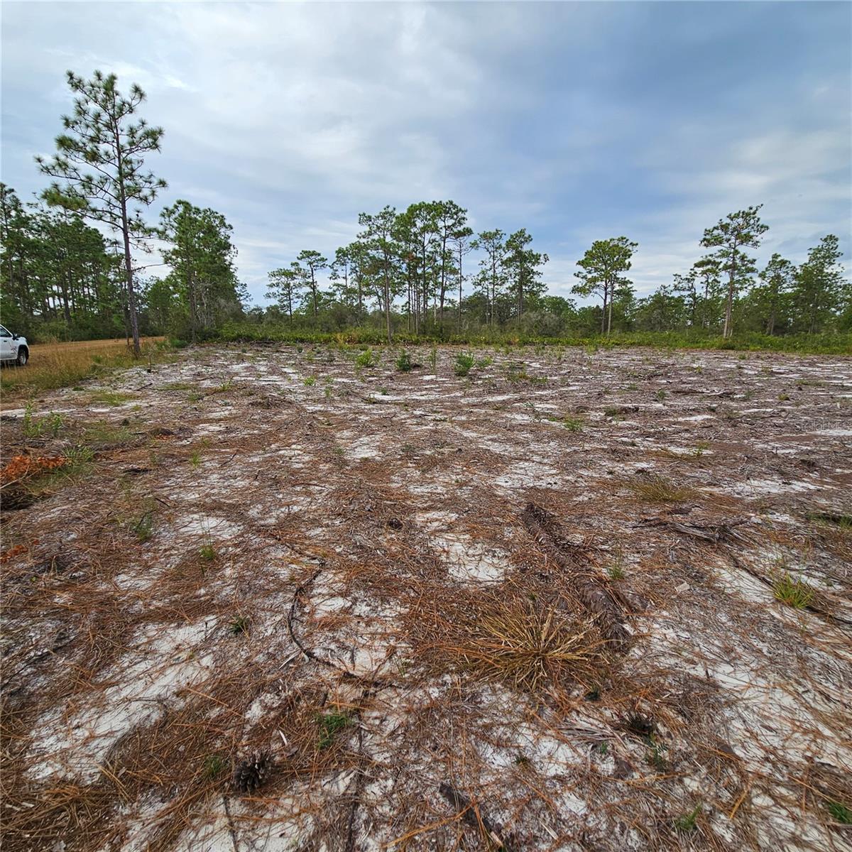 INDIAN LAKE ESTATES - Land