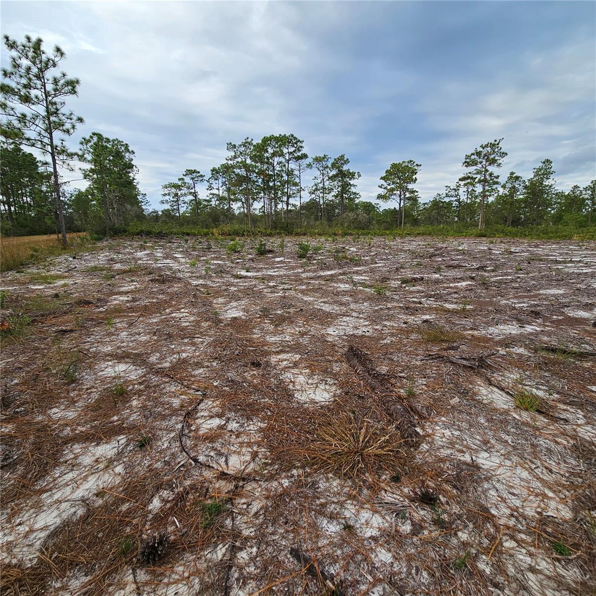 INDIAN LAKE ESTATES - Land