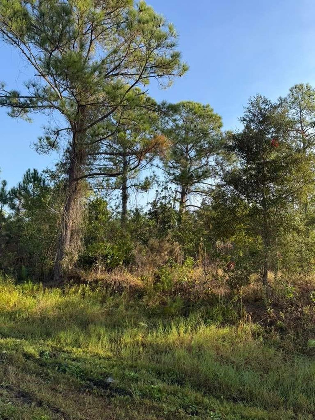 Photo of 8024 Cabo Drive, Sebring, FL 33872 (MLS # O6370055)