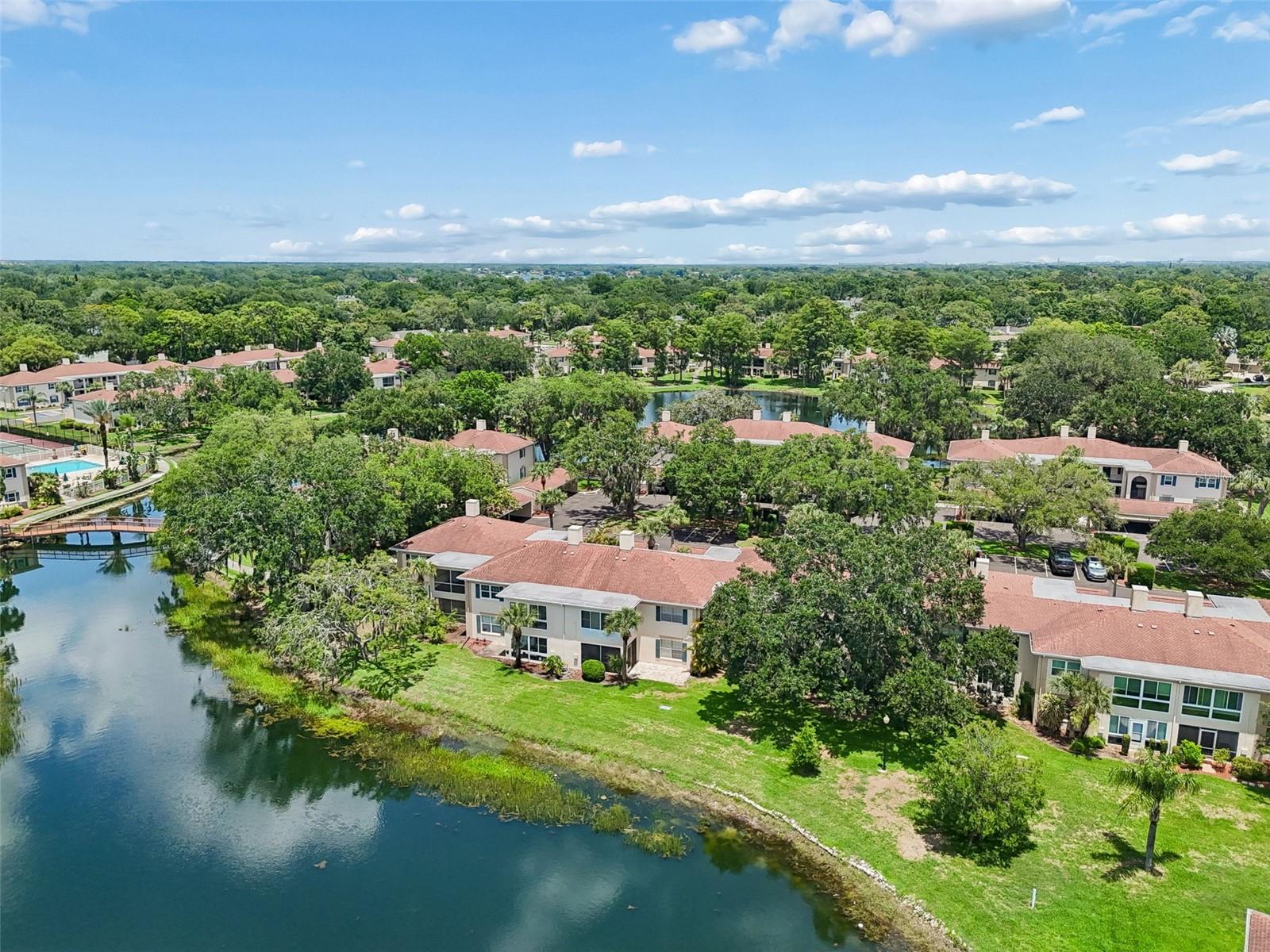 THE GRAND AT OLDE CARROLLWOOD - Residential