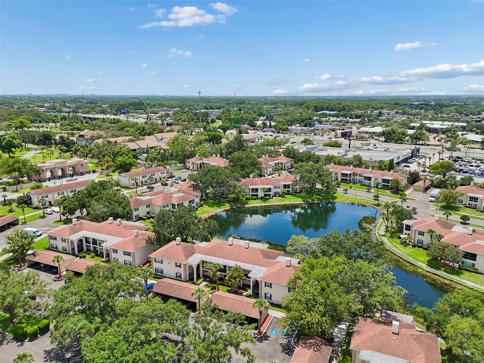 THE GRAND AT OLDE CARROLLWOOD - Residential