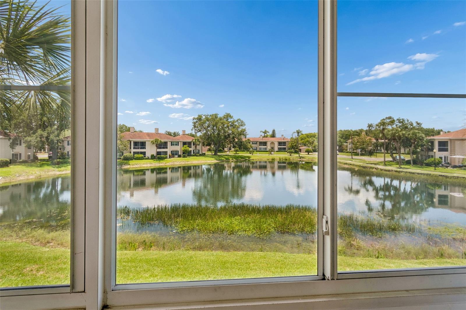 THE GRAND AT OLDE CARROLLWOOD - Residential
