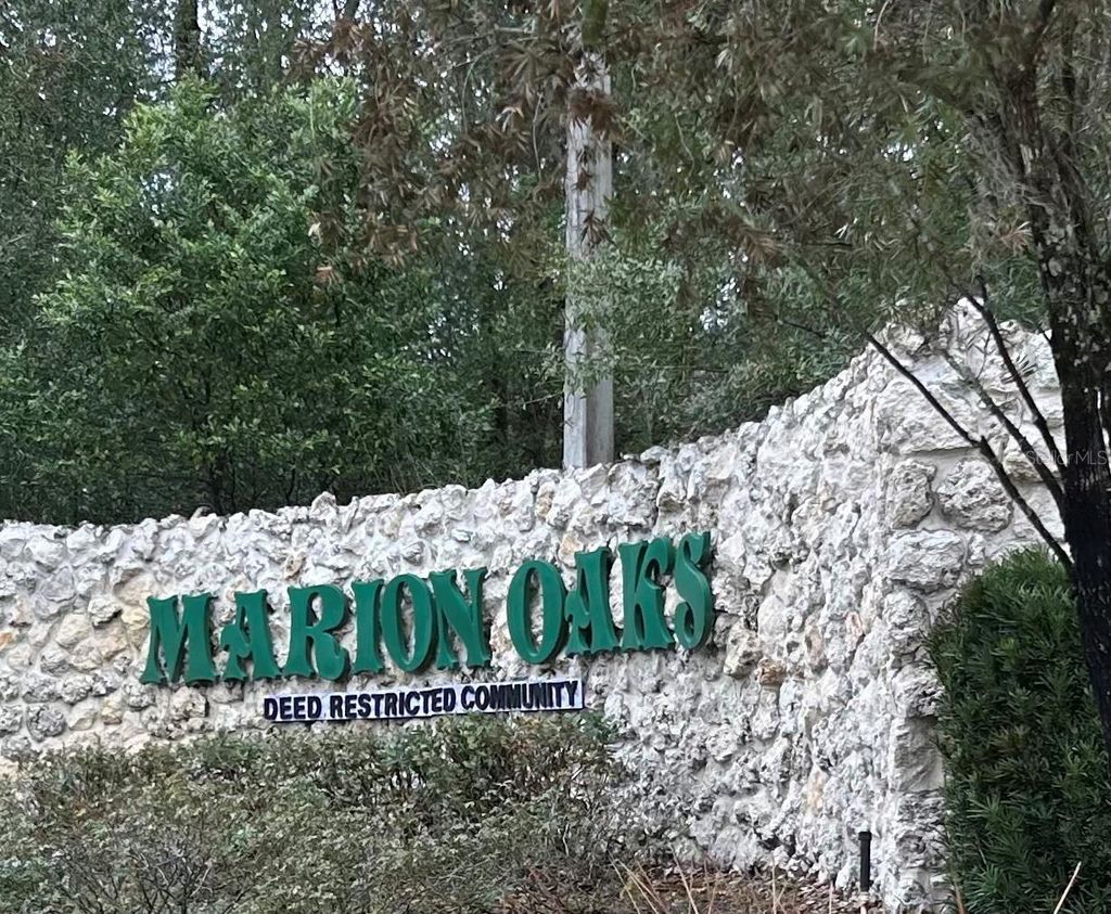 Photo of 4371 SW 143rd Lane Road, Ocala, FL 34473 (MLS # OM719323)