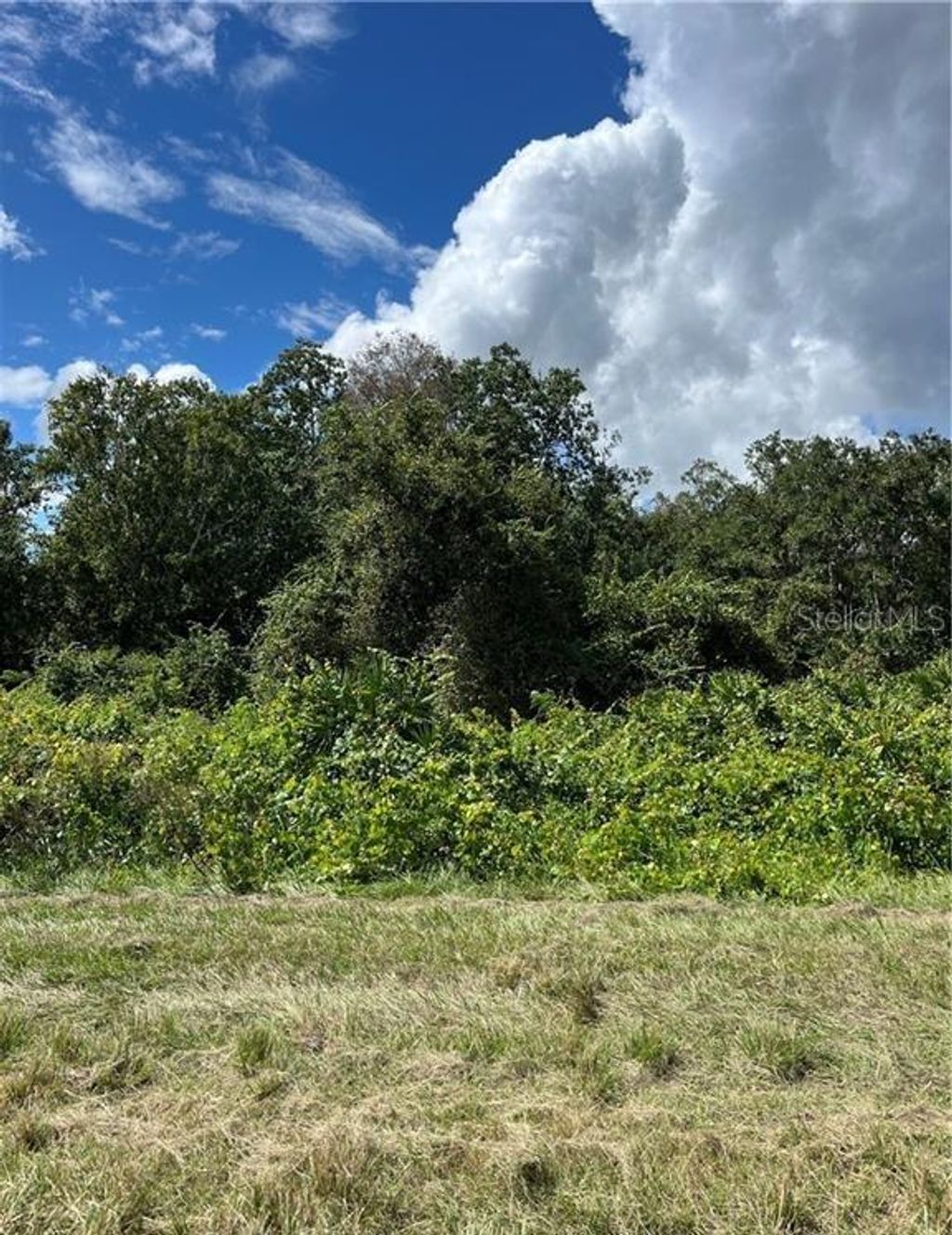 Photo of 1130 S Gabriel Road, Avon Park, FL 33825 (MLS # L4956510)