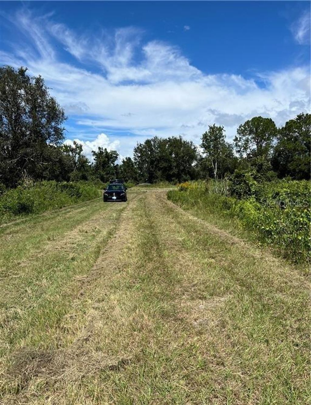Photo of 1130 S Gabriel Road, Avon Park, FL 33825 (MLS # L4956510)