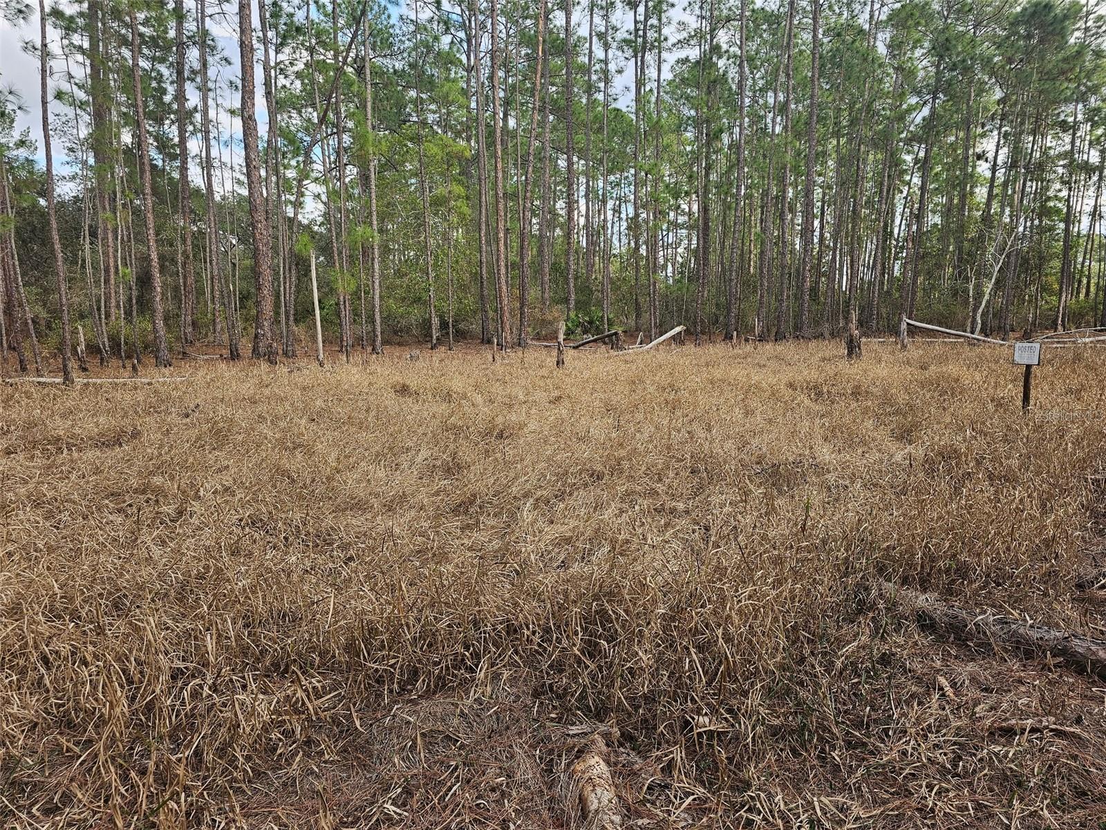 ROYAL TRAILS UNIT 01 - Land