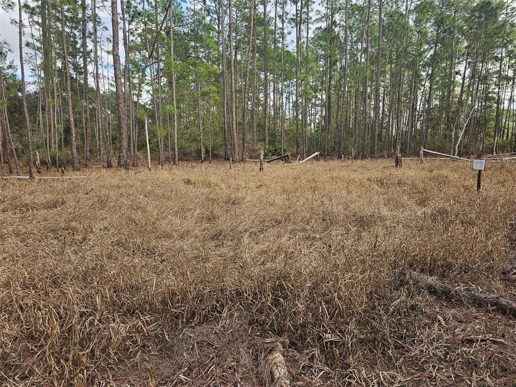 Photo of Chinaberry Street, Eustis, FL 32736 (MLS # K4903232)