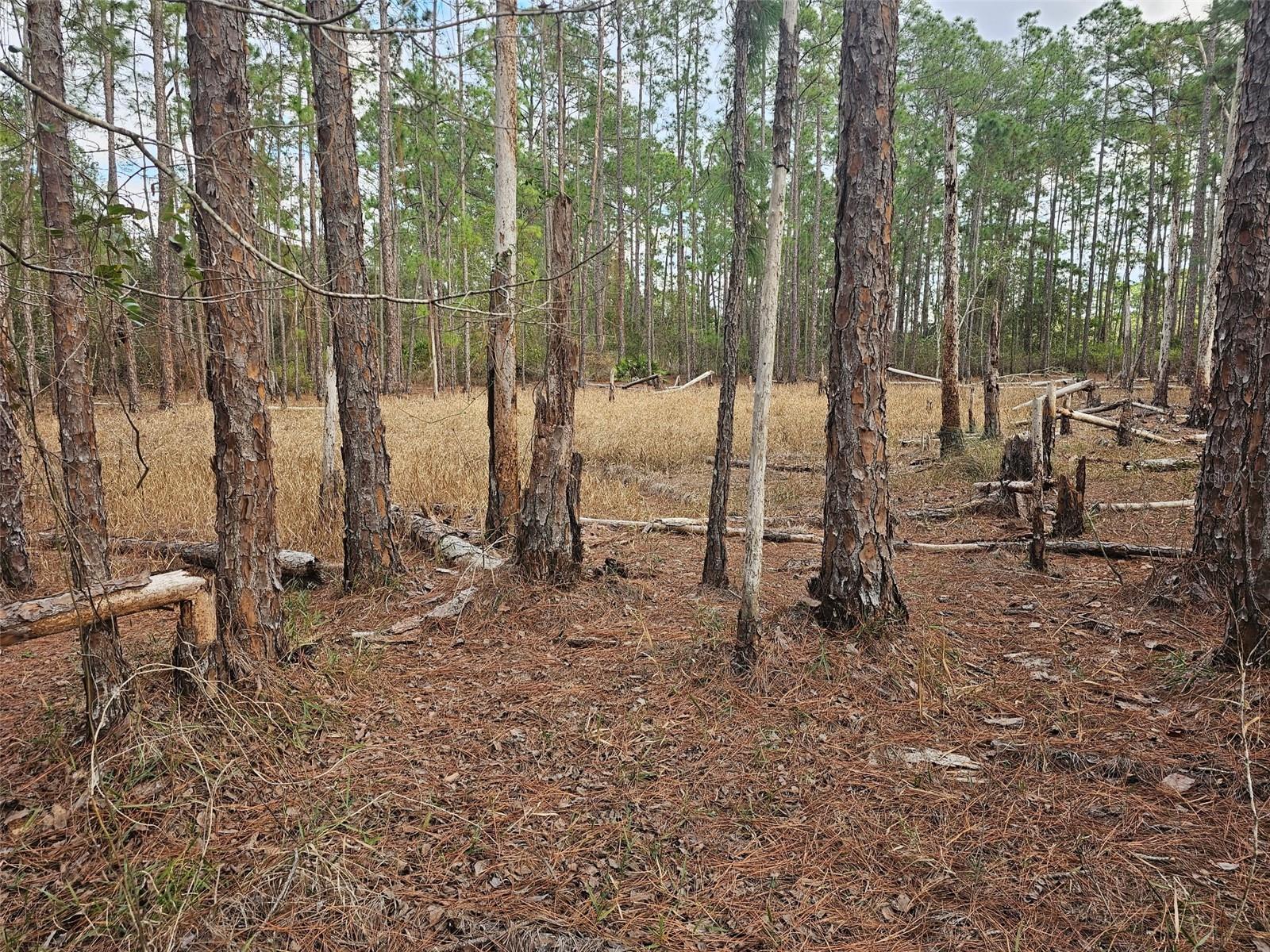 ROYAL TRAILS UNIT 01 - Land