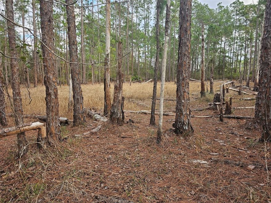 Located in the desirable Royal Trails Subdivision, this oversized 1.4-acre homesite allows up to two horses per acre and offers exceptional space, privacy, and flexibility—ideal for building your dream home, with no wetlands per the Wetland Mapper. Royal Trails provides a relaxed, country-style lifestyle with community amenities including a pavilion, park, and playground. Property owners enjoy deeded access to private Lake Norris, featuring a community dock and miles of paved roads perfect for walking, biking, or jogging. Lake Norris is a pristine, undeveloped freshwater lake spanning nearly 1,200 acres, offering a peaceful natural setting away from the hustle and bustle. Conveniently located just minutes from Publix and CVS, with easy access to downtown Eustis and Mount Dora. Enjoy the tranquility of country living while remaining within reach of Orlando attractions and area beaches