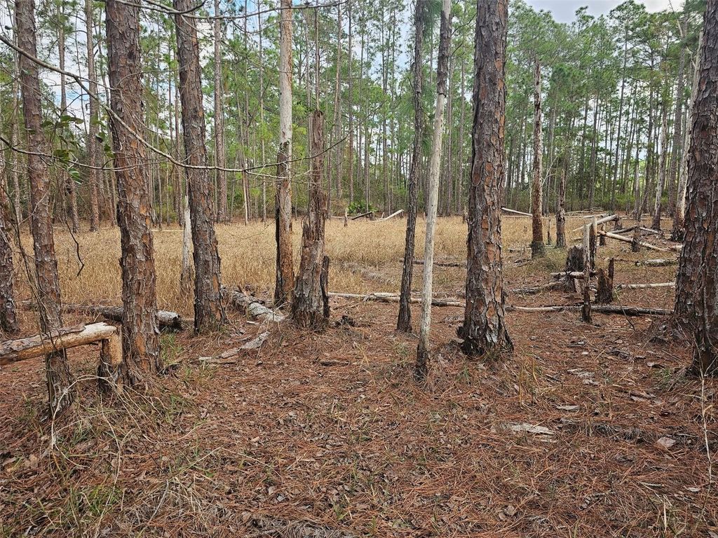 Photo of Chinaberry Street, Eustis, FL 32736 (MLS # K4903232)