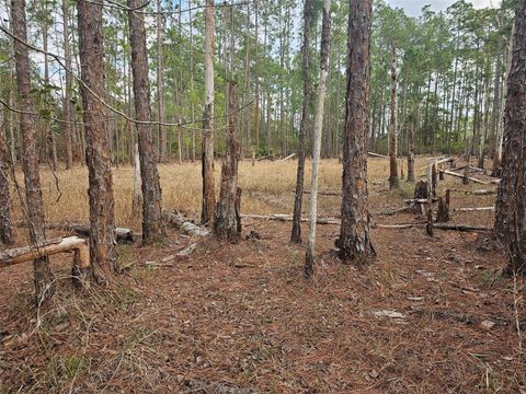 CHINABERRY STREET EUSTIS FL 32736