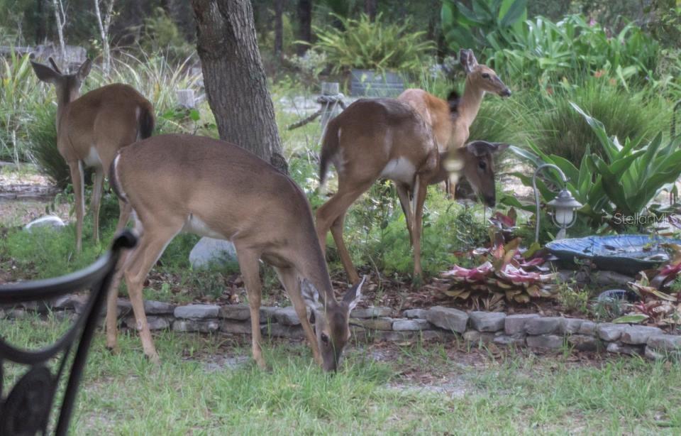 ROYAL TRAILS UNIT 01 - Land