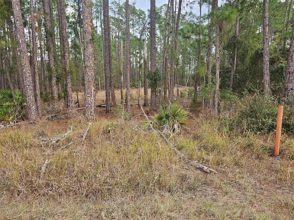 Photo of Chinaberry Street, Eustis, FL 32736 (MLS # K4903232)