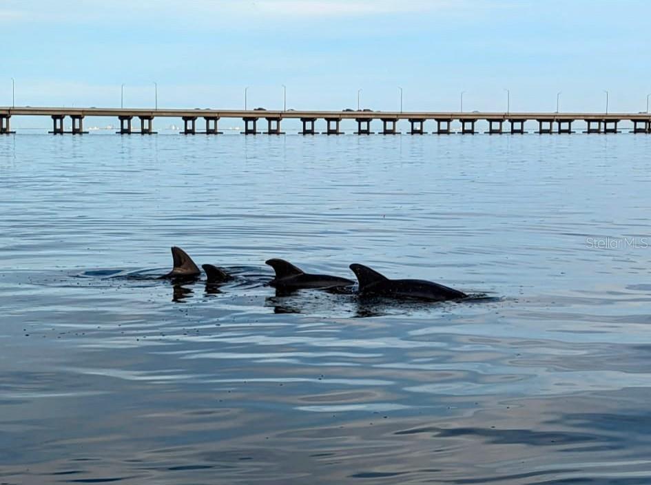 2616 COVE CAY DRIVE 502