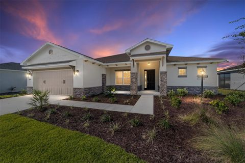 Photo of 10033 SW 106th Circle, Ocala, FL 34481 (MLS # OM714254)
