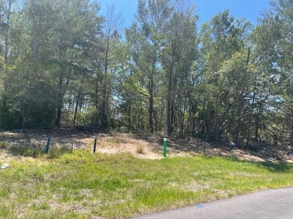 Photo of 1342 Homosassa Drive, Poinciana, FL 34759 (MLS # L4961204)