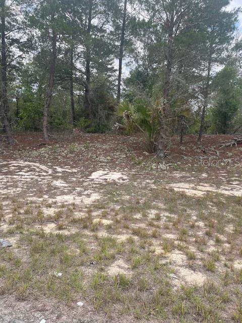 1342 HOMOSASSA DRIVE