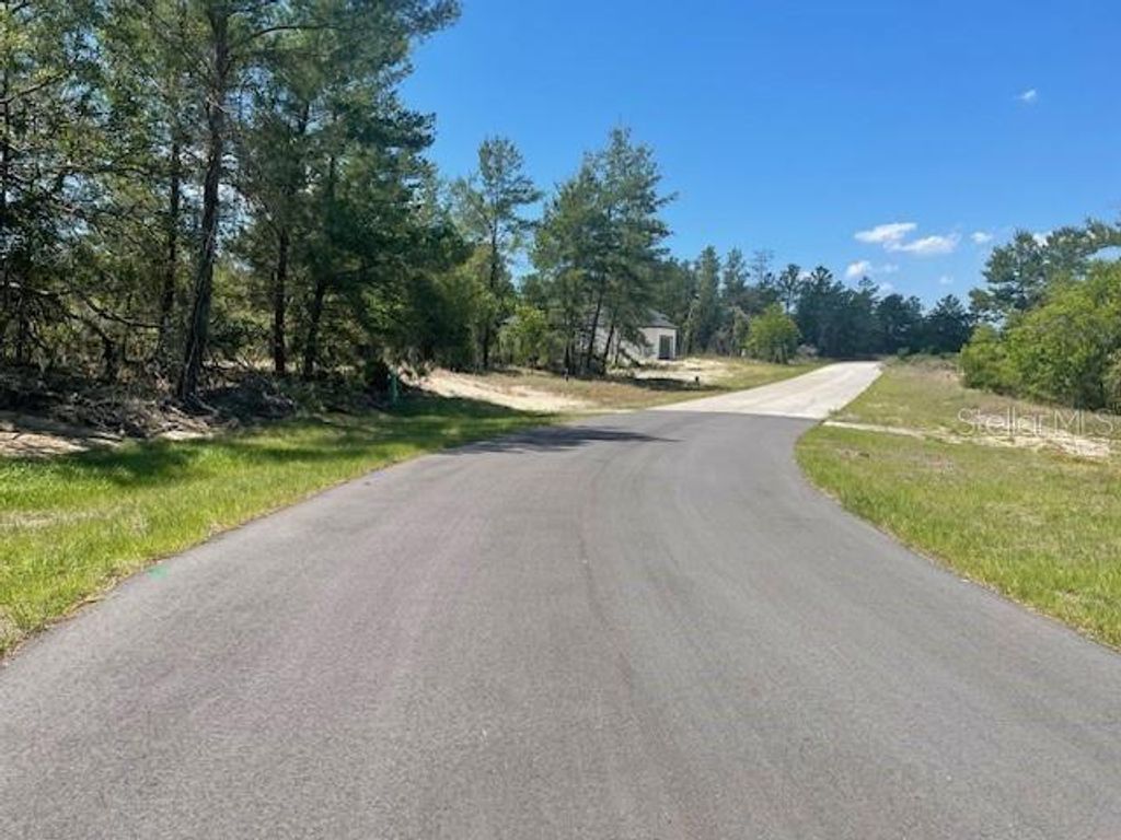 Photo of 1342 Homosassa Drive, Poinciana, FL 34759 (MLS # L4961204)